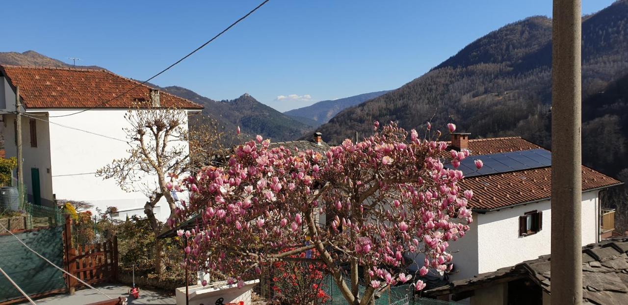 Apartament Casa Le Rondini Mezzenile Zewnętrze zdjęcie